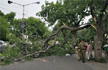 9 killed in Delhi dust storm